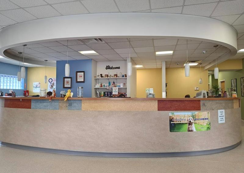 Carousel Slide 1: Cincinnati dog veterinarians